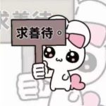 宝宝-优享云博客